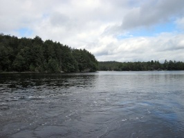 IMG 5737